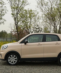 ���������˵�С���ӣ�����6���𴿴���ֵ��