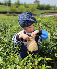 [����]�⼸��Ұ�͵�Ҳ̫����ˣ�����������