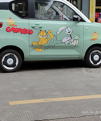 ���������ġ��ӷ�è