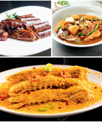 [����]̨�ݸ��Ǿ�������Ʊ