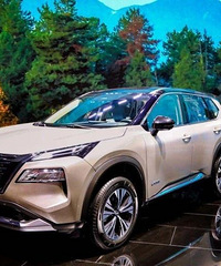 LM/�п͵ȣ��Ϻ���չֵ�ù�ע�������ϵ�³�