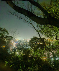 ���������ʵ��Ǹ�����87�꽷��175��GG