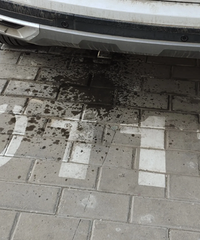 ��ƨ�ɷ������������˺ö�ˮ�����ǳ��Ի��˶��Ӵ�ϡ����