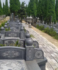 ���������20���ˣ���˵��������Ҫ���Ѿ�������ǰ����һ��