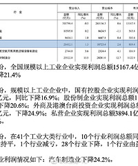 2023��һ���ȣ���������ҵ�����½�24.2%