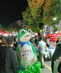 ��������ôͬʱ�չ˺��ӻ���������ģ���ã����ͽ�