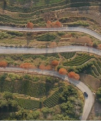 ÷����˹-EQȫϵ����Լݻ��ļ��