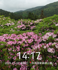 ����̨�߽�ɽ�壬�ͻ����ƽ��ž�-�߽����㲽����̨�߽��