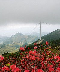 ��ɹ�������Ҷ����У�94��/����ְҵ/����/181cm