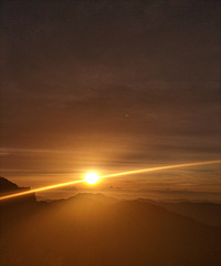 ��ɹ�������Ҷ����У�90��/��ҵ����/̨��