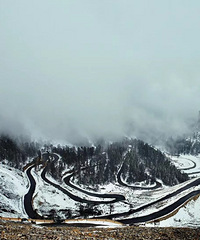 ��ɹ�������Ҷ����У�92�꽷��/181cm