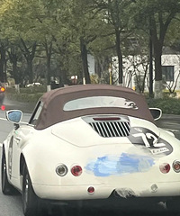 ���������ġ���ô�ɰ��ĵ�����ʲô����