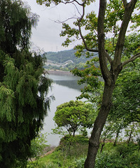 ��ɹ�������Ҷ����У�91��/����/178cm