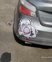 ���������ġ����͹����е���