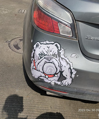 ���������ġ����͹����е���