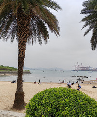 ��2023�μǡ�+���Ź����죬�����кܶ�С�Լ۸񲻹�