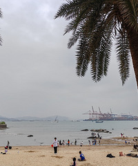 ��2023�μǡ�+���Ź����죬�����кܶ�С�Լ۸񲻹�