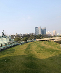 95�걾��GG��������ҵ�������з�������Ҷ���