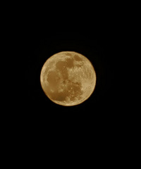 86��·��δ��MM������165����������