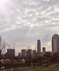 ��ɹ�������Ҷ����У�31��/����/183cm