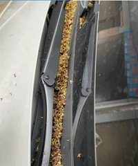 ͷ�ۣ������������ϴ��ϴ��ÿ�춼������������