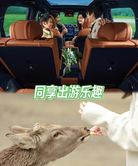 ȫ��GLC SUV¶Ӫ���бر�