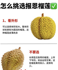 [��ʳ]������ѡ����