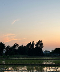 ��ɹ�������Ҷ���96����������