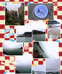 ��ɹ�������Ҷ���Ů��86��/·��/160cm