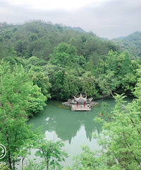 ��2023���μǡ������ɶ��������Ϻ�ǣţ