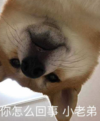 û�����еĶ�ѽ���ҹ�ͳ�ƾֹ���������ֻ��56%���ҵļ�ͥ�г�