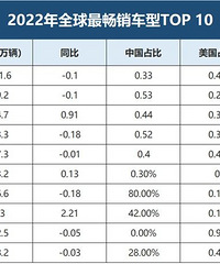 ȫ������T0P 10���ͳ�¯�� ��������2��Model Y