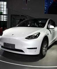 ȫ������T0P 10���ͳ�¯�� ��������2��Model Y