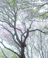 [����]�����ž������ɺ�����ȥ��̨������