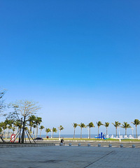 �麣ס�����Ѳ��Ǻܸߣ��Ƶ��������200-300֮��