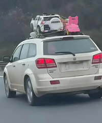 �������������࣬��Ů�����ɫҡҡ��������֪������һ��һŮ��