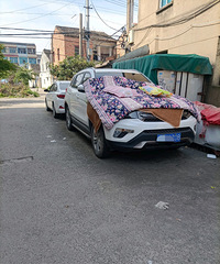 ���������ġ����ֶ�ɶɧ������