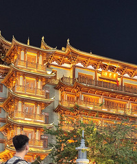 ��ɹ�������Ҷ����У�91��/·��/175cm