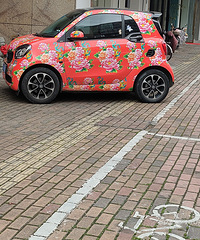 ���������ġ����ް�������������һ��ͬ���·�