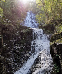 ͽ��������Ű��·����ǧ����