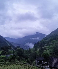 ͽ��������Ű��·����ǧ����