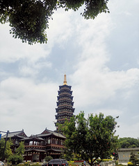 ��ɹ�������Ҷ���Ů��91��/����/160cm