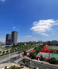 ���ֶ�ʢ������ӡ��