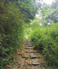 �߾���ͽ�����񶴻���