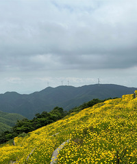 ��2023�μǡ����������糵��·