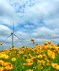 ��2023�μǡ����������糵��·