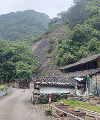 С��ǰ�����α�����ɽ�ġ�����ѩ���ֲ����Ҷ������Ŵ���ź�