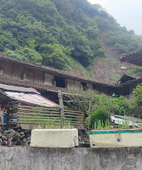 С��ǰ�����α�����ɽ�ġ�����ѩ���ֲ����Ҷ������Ŵ���ź�