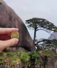 ��2023�μǡ�ͽ����ɽ�������ڼ۸�ƫ��Ҳûɶ�óԵ�