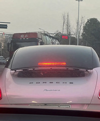 ���������ġ������⣡���ű�ʱ�ݵĺ�è